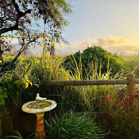 Sunbird Cottage Noordhoek Zewnętrze zdjęcie